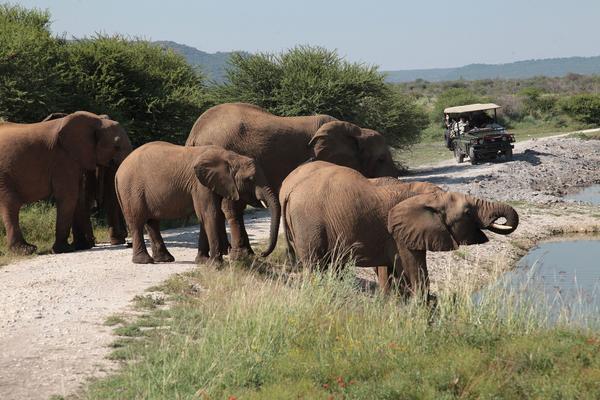 Tau Game Lodge Madikwe Wildreservaat Buitenkant foto