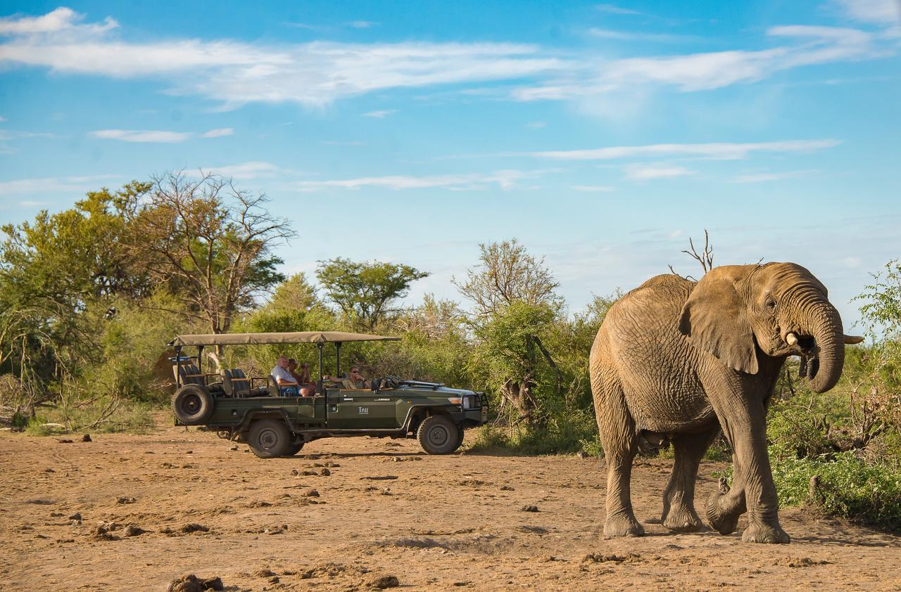 Tau Game Lodge Madikwe Wildreservaat Buitenkant foto